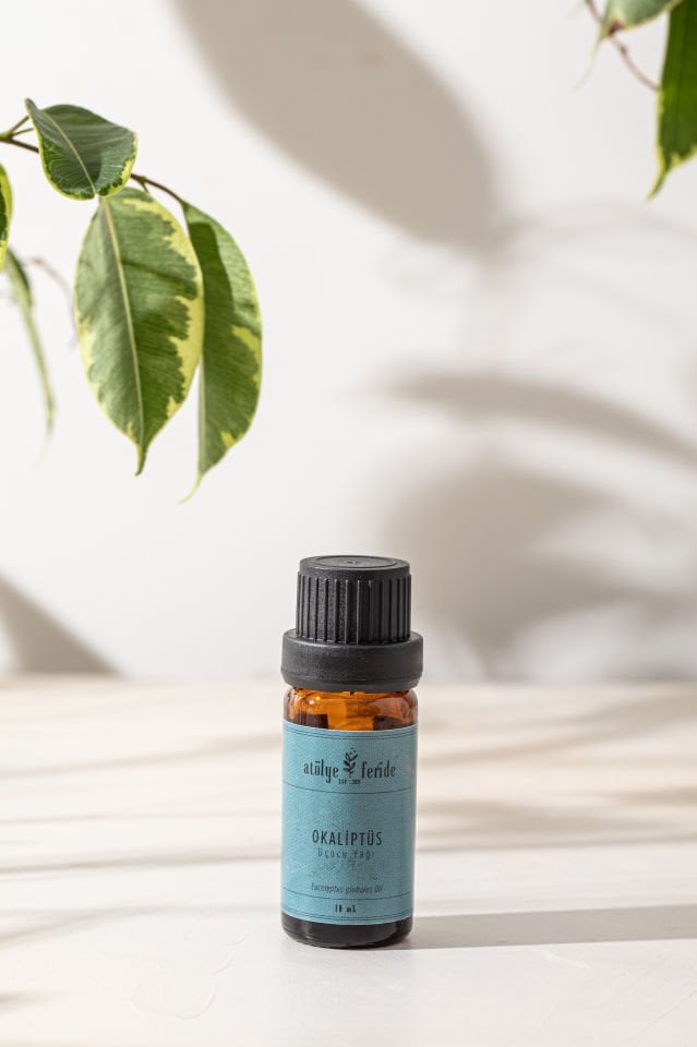 Atölye Feride Okaliptüs (Eucalyptus globulus) Uçucu Yağı 10 mL