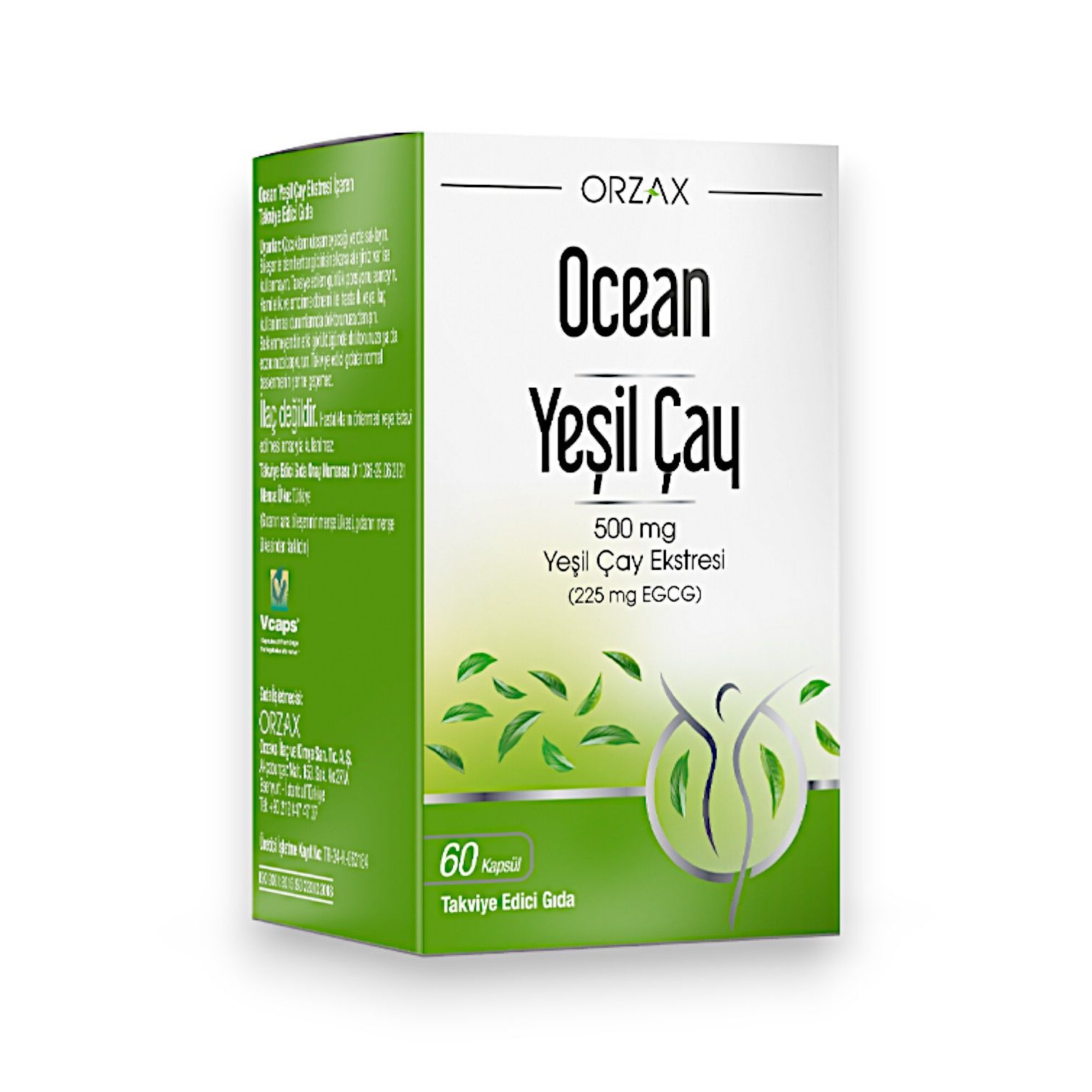 Ocean Yeşil Çay Ekstresi 500 mg 60 Kapsül