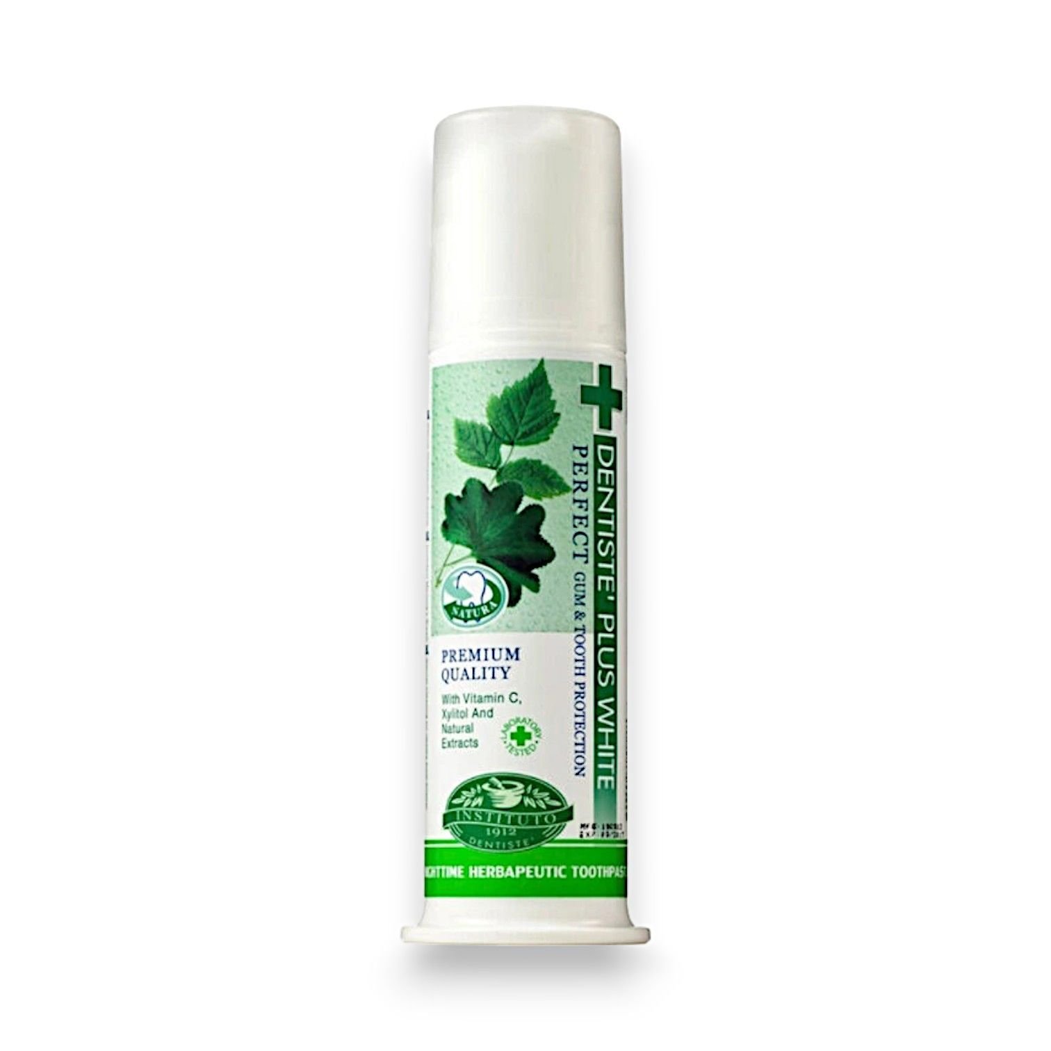 Dentiste Plus White Uyku Öncesi Diş Macunu Pompalı 120 gr
